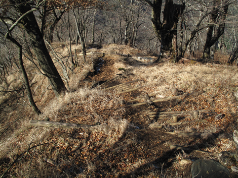 20171207hike (217)